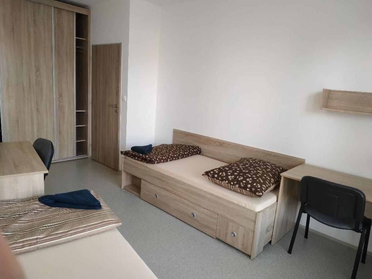 Ubytovaci Zarizeni Koleje Pedagog Ceske Budejovice Extérieur photo